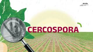 Control Cercospora like an Expert [upl. by Ancell271]