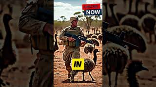 surprising events in history The Great Emus Warhistory emus australia [upl. by Nnylesor]