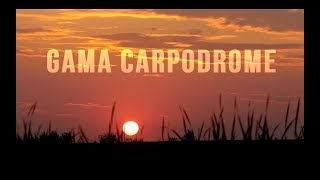 Dynamite BaitsGama Carpodrome [upl. by Peck311]