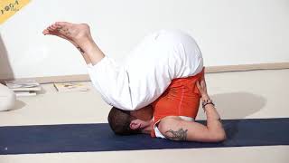 Halber Pflug  Yoga Asana Lexikon [upl. by Nayar]