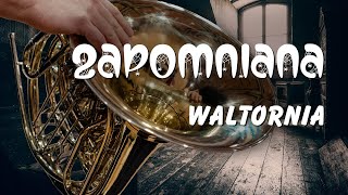 Zapomniana waltornia Czyli subiektywnie o tym czemu waltornia to nietypowy instrument [upl. by Boys]