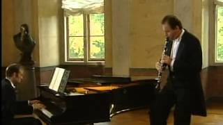 Brahms Sonata fMoll op 120 nr 1  Clarinetto e piano [upl. by Eletnahs289]