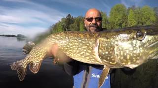 Italian Fishing TV  Mondo Artificiale  14  III° Serie  Nomura  Svezia Pt2 [upl. by Alyal]