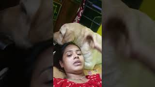 Ekka ekka thakte Amar aktuo bhalo Lage Na doglover youtubeshorts sabscribe [upl. by Ennovoj]