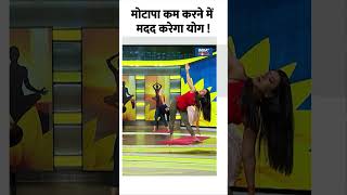 Yoga For Weight Loss मोटापा कम करने में मदद करेगा योग  shorts indiatvyoga weightloss [upl. by Arlette851]