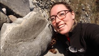 Biggest Ammonite Chunk Ive ever found Fossil Friday [upl. by Rico]