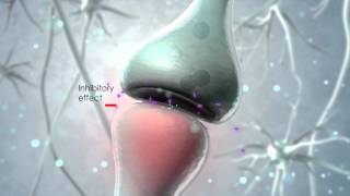 Visualization of the endocannabinoid signaling system [upl. by Dante720]