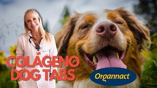 Colágeno Tabs da Organnact  Doutora Bruna Vet  Veterinária [upl. by Aeneg]