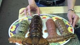 Four Types of Lobster Tails in the Lobster Gram Test Kitchen [upl. by Hunley707]