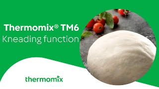 Thermomix® TM6 Kneading Function [upl. by Alabaster372]