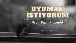 Necip Fazıl Kısakürek  Uyumak İstiyorum  Şiir [upl. by Aitnahc]