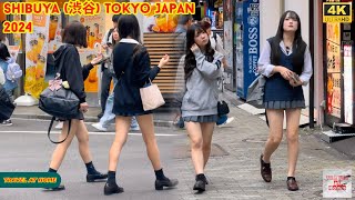 4k hdr Japan travel 2024  Walk in Shibuya 渋谷 Tokyo Japan  Relaxing Natural City ambience [upl. by Ecire846]