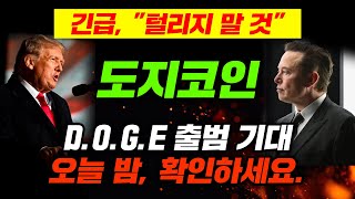 긴급 quot털리지 말 것quot 도지코인 DOGE 출범 기대 오늘 밤 확인하세요 도지코인급등 도지코인대응 [upl. by Munson]