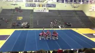 Dayton Academy Wildcats  Cheer for a cure [upl. by Clovah679]