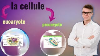 la définition de la cellule la cellule procaryote la cellule eucaryote [upl. by Jarvis]