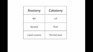 Stomas What they are and how to tell them apart [upl. by Matthus]