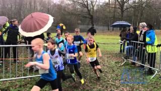 AtH  Veldloop Geel B [upl. by Kurman630]