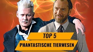 Phantastische Tierwesen 2  Das erfahren wir im neuen Trailer  Top 5 [upl. by Orose]