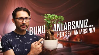 Bunu Anlarsanız Her Şeyi Anlarsınız Parçacık Fiziğinin Standart Modeli [upl. by Arick]