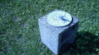 Sundial Slug and Clover time lapse [upl. by Harolda]