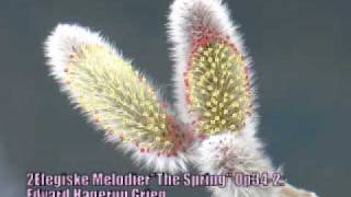 F 管おがわオカリーナによる グリーグ「春」 Grieg 2Elegiske MelodierquotThe Springquot Op342 by by Ogawa Ocarina inF [upl. by Kitchen]