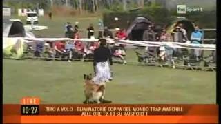 FMBB 2012  Campionato del mondo pastore belga  RAI SPORT  esibizione dogdance [upl. by Nomyaw]