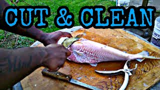 quotHow Toquot Cut And Clean Catfish [upl. by Ahsaetan440]