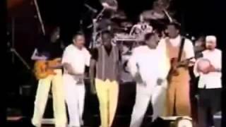 Verdine WhiteEarth Wind amp Fire Live 95 amp 96 Sinbads Summer Jam 70s Soul Music Festival [upl. by Cristiona622]