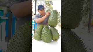 Kandungan Ajaib Buah Sirsak yang Ampuh Redakan Stres sirsak Soursop manfaat shortsfeed shorts [upl. by Kane]