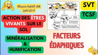 ⭐TCSSVTECOLOGIE⭐  facteurs édaphiques  minéralisation amp humification svt tcs [upl. by Burnight644]