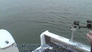 OffShore Tackle Tadpole Video Clip [upl. by Eikcor]