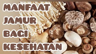 MANFAAT JAMUR BAGI KESEHATAN  HEALTH BENEFITS OF MUSHROOMS [upl. by Ecydnak]