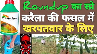 Roundup herbicide का स्प्रे करैला की फसल में खरपतवार के लिए।। [upl. by Litha836]