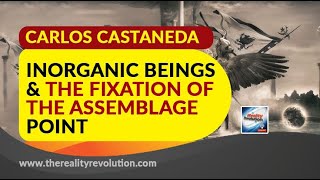 Carlos Castaneda Inorganic Beings And The Fixation Of The Assemblage Point [upl. by Nemrac]