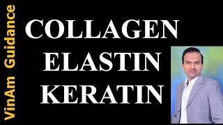 Collagen Elastin and Keratin [upl. by Lew]