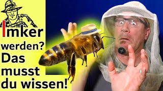 Bienen halten für Anfänger Tipps für ImkerNeulinge  die wichtigsten Antworten auf eure Fragen [upl. by Nortyad]