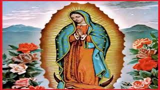 Música del manto de la Virgen de Guadalupe [upl. by Ahsen]