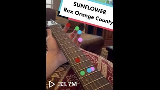 Sunflower  Rex Orange County Guitar Lesson  Tutorial [upl. by Swithbart789]