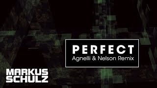 Markus Schulz feat Dauby  Perfect Agnelli amp Nelson Remix [upl. by Stoeber803]