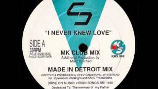 Chez Damier  I Never Knew Love MK Club Mix [upl. by Ahtikal]