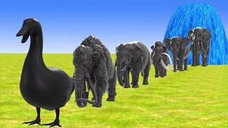 Paint Animals Elephants and Mammoths Size Comparison Fountain Crossing Animal Transformation Cartoon [upl. by Naz]