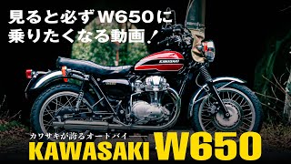 Kawasaki W650 Short Film  カワサキW650は最高だ！バイクショートムービー [upl. by Ecnatsnok]