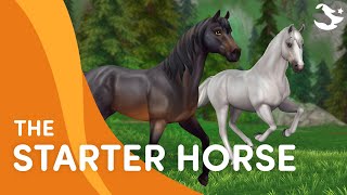 Meet the UPDATED Starter Horse ✨😍  Star Stable Breeds [upl. by Kwarteng]