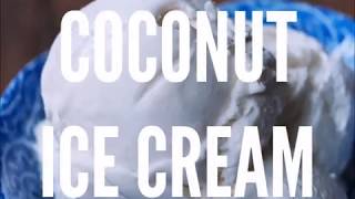 Homemade Coconut Ice Cream  4 Ingredients [upl. by Nolyk598]