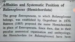 Affinities of balanoglossusHemichordata YashPartner [upl. by Grosvenor]