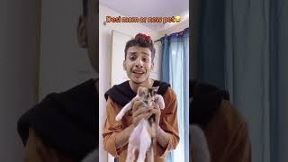 Desi Mom and New Pet Part 1😂😂🤣 youtubeshorts comedy funnymomfunny [upl. by Kial]