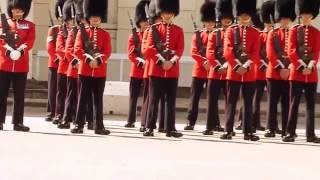 Inspection Nijmegen Company Grenadier Guards [upl. by Hpotsirhc]