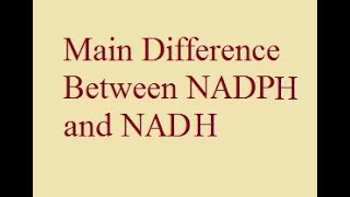 Difference between NAD NADH  NADP and NADPH  For XII BSc and MSc  AllAboutBiology [upl. by Hackney]