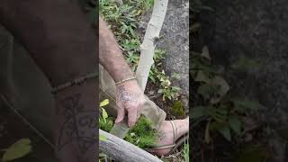 Using A Copper Axe Head To Fell A Tree bushcraft survival otzi primitivetechnology donnydust [upl. by Notyalk]