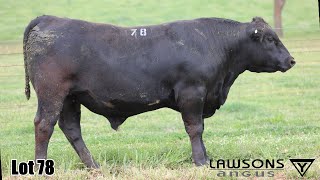 Lot 78 Lawsons Quinella VLY23U4060 [upl. by Fromma]